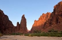 Wadi Al Disah Canyon Experience Scenic Day Tour from Tabuk