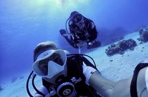 Hurghada Diving for Certified Diver with Lunch Drinks Transfer