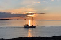 Tromsø: Arctic Fjord & Island Sightseeing — Small Group Tour