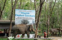 Guide Tour to Khaolak Elephant Sanctuary in Small Group