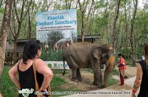Guide Tour to Khaolak Elephant Sanctuary in Small Group