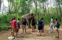 Guide Tour to Khaolak Elephant Sanctuary in Small Group