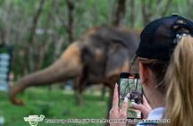 Khao Lak Elephant Sanctuary Small-Group Guided Tour