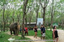 Khao Lak Elephant Sanctuary with Rubber Plantation & Waterfall