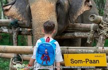 Khao Lak Elephant Sanctuary with Rubber Plantation & Waterfall