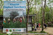 Evening Guide Tour to Khaolak Elephant Sanctuary Free 1 Cocktail