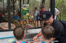 Evening Guide Tour to Khaolak Elephant Sanctuary Free 1 Cocktail