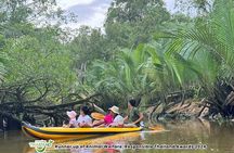 Khao Lak Elephant Sanctuary Visit and Mangrove Kayak Tour