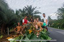 Khao Lak Ethical Elephant Sanctuary Small Group Tour