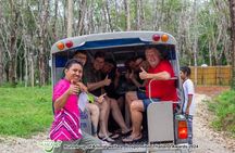 Khao Lak Eco-Safari: Elephants, Tsunami Museum, and Turtles