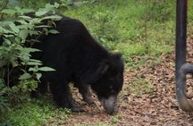 All inclusive 12 Hour Wilpattu National Park Safari