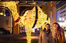 Dubai Nights and lights: Evening Tour with Fountain Show