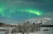 Hunt for the Northern Lights in the Arctic Night