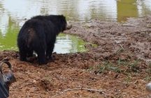 Private All-Inclusive Yala National Park Safari Bentota or Galle