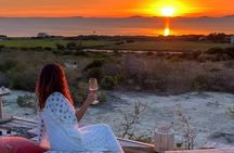 Castelsardo Vineyard and Wine Tasting Experience with Sunset