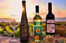 Castelsardo Vineyard and Wine Tasting Experience with Sunset