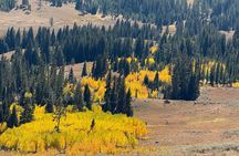 Yellowstone's Lamar Valley and Sound Bath Retreat 