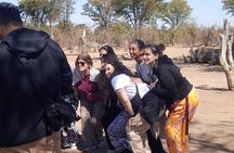 Game Drive in Mosi Oa Tunya National Park