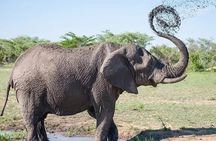Game Drive in Mosi Oa Tunya National Park
