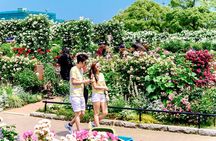 Yokohama Walking Tour Chinatown Temples and Bayside