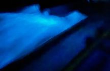 Vieques Biobay Kayaking Tour