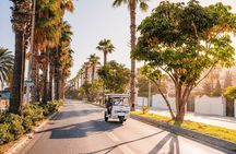 Valencia Premium PRIVATE Tour to discover the city in 2 Hours