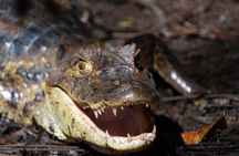 Unforgettable canoe adventure