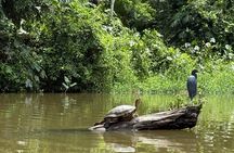 Unforgettable canoe adventure