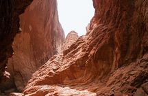 Red Rock Canyon Small Group Tour from Las Vegas