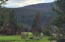Estes Park Off Road 4x4 Jeep Adventure Tour