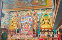 Private Day Tour of Bylakuppe Tibetan Monastery from Mysore