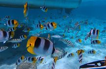 Toa Boat Bora Bora Private Lagoon Tour On Entertainer Bar Boat