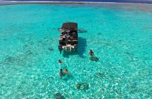 Toa Boat Bora Bora Private Lagoon Tour On Entertainer Bar Boat