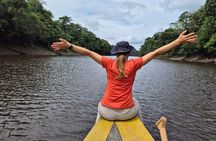 The Jungle of Mirrors 5 Days