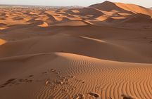 Sunrise Jeep Tour in Merzouga Dunes