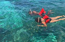  Negril full Day Tour 7miles beach Snorkeling & & Ricks cafe 