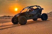 Doha Escape: Gentle Desert Safari with Camel Ride & Sandboarding