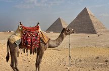 Grand Egyptian Museum and Pyramids Private Tour