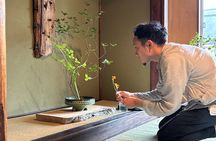 Kyoto Japanese Flower Arrangement Ikebana