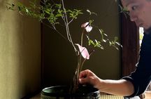 Kyoto Japanese Flower Arrangement Ikebana