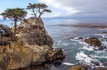 Monterey, Big Sur, 17 Mile Drive 3.5 Hour Private Tour