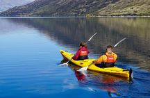 Lake Wanaka Roy's Bay Kayak Tour