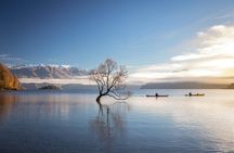 Lake Wanaka Roy's Bay Kayak Tour