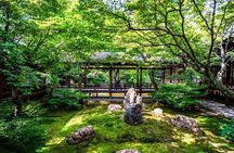 Kyoto Private Tour: One Day Highlights and Cultural Gems