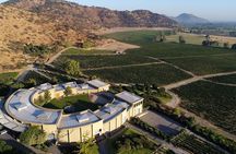 Haras de Pirque Private Vineyard Tour and Wine Tastings