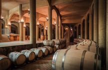 Haras de Pirque Private Vineyard Tour and Wine Tastings