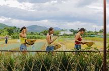 Hue Countryside Tour A Peaceful Day in La Chu Village