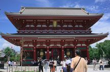 Private Custom Tokyo Tour with English Driver-guide