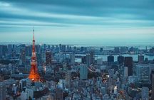 Private Custom Tokyo Tour with English Driver-guide