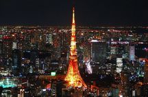 Private Custom Tokyo Tour with English Driver-guide